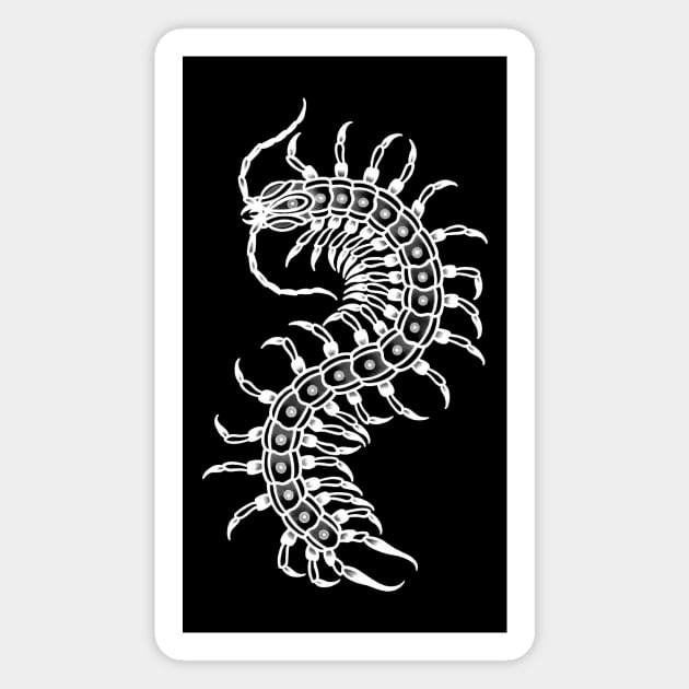 All-Seeing Centipede Inverted Magnet by Jake B